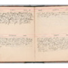Wellington Willis Diary, 1913-60.pdf