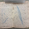Joseph Dillon Diary, 1905 (35).pdf