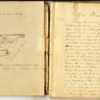 Jeannie Watson Diary &amp; Transcription, 1901-1902