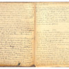 Mary Ann King Diary, 1909 & 1910-13.pdf