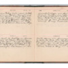 Wellington Willis Diary, 1913-45.pdf