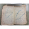 Joseph Dillon Diary, 1905 (7).pdf